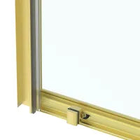 60" Brushed gold sliding shower Door