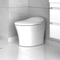 One-Piece Smart Toilet HAL