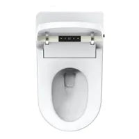 Deluxe One-Piece Smart Toilet NAO