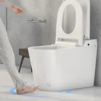 Deluxe One-Piece Smart Toilet NAO