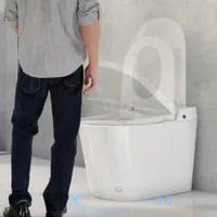 Deluxe One-Piece Smart Toilet NAO