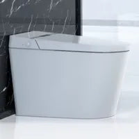 Deluxe One-Piece Smart Toilet NAO