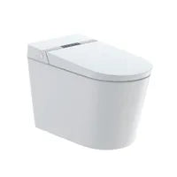 Deluxe One-Piece Smart Toilet NAO