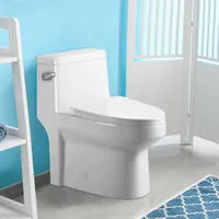 One-piece toilet with elongated bowl NOTUS