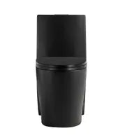 Matte black dual-flush one-piece toilet with elongated bowl LUDO