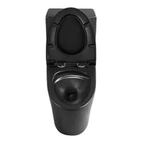 Matte black dual-flush one-piece toilet with elongated bowl LUDO