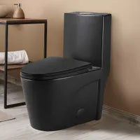 Matte black dual-flush one-piece toilet with elongated bowl LUDO
