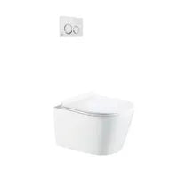 Dual-flush wall toilet with white control plate PARETO
