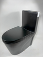 382 One Piece Toilet Black