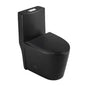 Matte black dual-flush one-piece toilet with elongated bowl LUDO