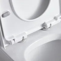 One-piece toilet with elongated bowl GRAHAM