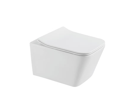 CAAB Home Delight 3012 Wall Hung Toilet Black and 3020 Wall Hung Toilet White