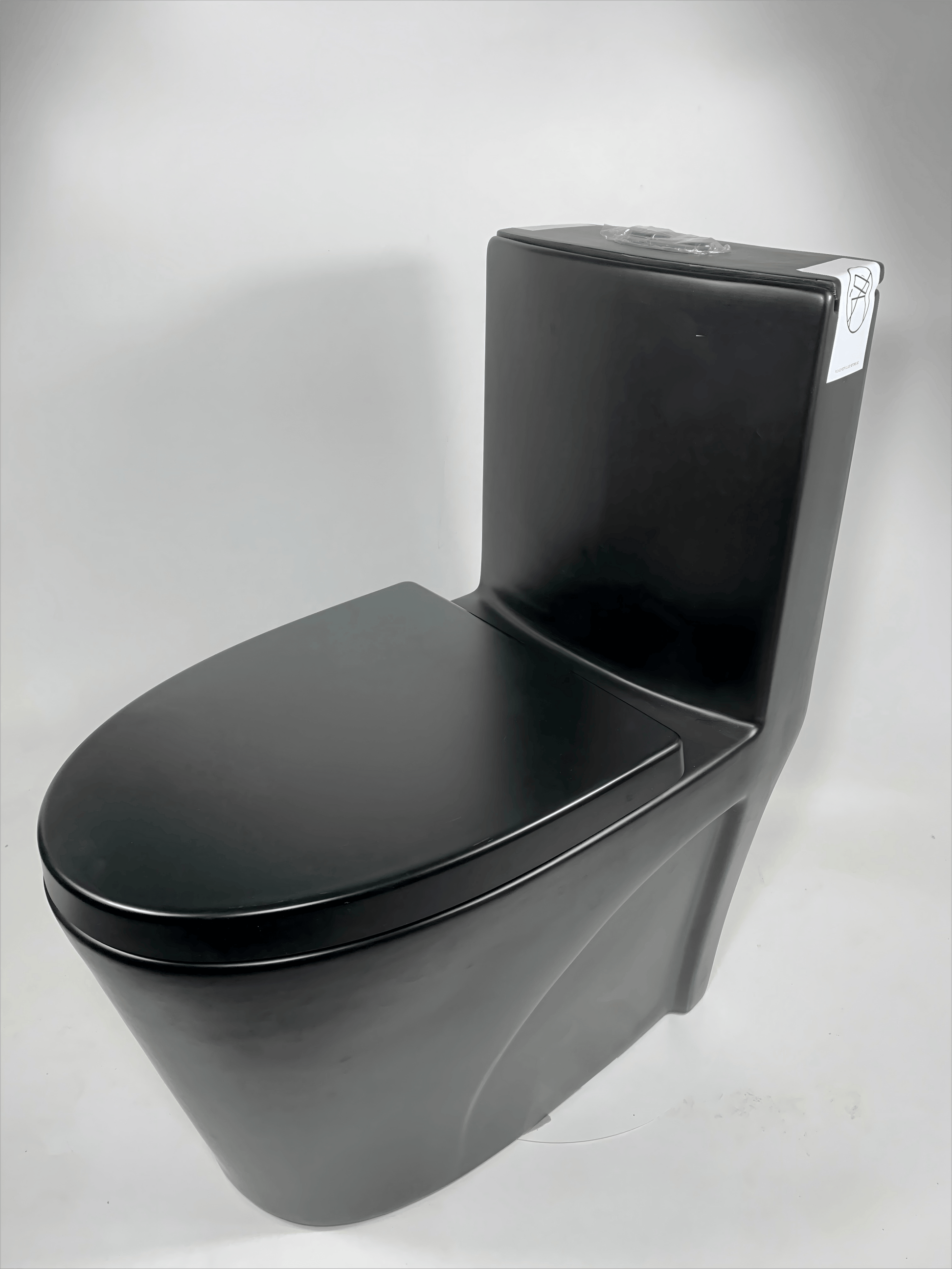 CAAB Home Delight 382 One Piece Toilet Black
