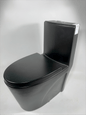 CAAB Home Delight 382 One Piece Toilet Black