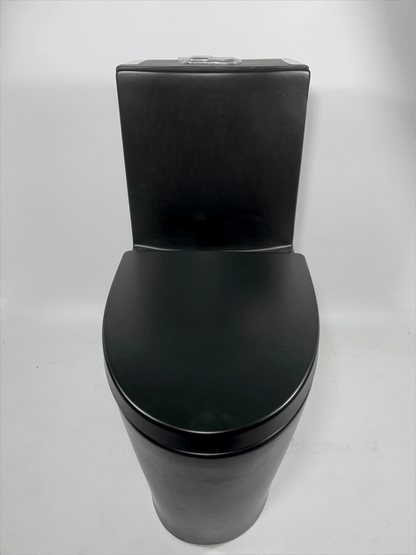 CAAB Home Delight 382 One Piece Toilet Black