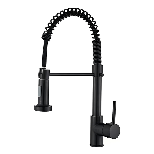 CAAB Home Delight PK001-B Chrome chef-style kitchen faucet with pull-down spout