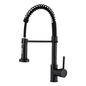 CAAB Home Delight PK001-B Chrome chef-style kitchen faucet with pull-down spout