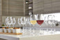 My Store CANVAS Lead-Free Stemmed Wine Glass Set, 450-ml, 12-pk