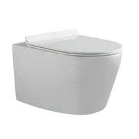 My Store Dual-flush wall toilet with white control plate PARETO