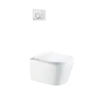 My Store Dual-flush wall toilet with white control plate PARETO