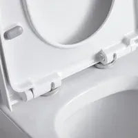 My Store One-piece toilet with elongated bowl GRAHAM