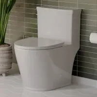My Store One-piece toilet with elongated bowl VICTOR