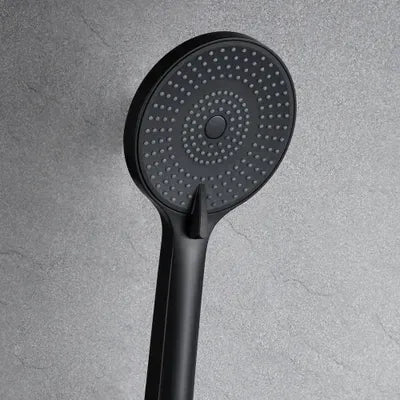 The Home Delight Black shower rail with hand shower