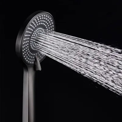 The Home Delight Black shower rail with hand shower