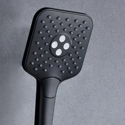 The Home Delight Black shower rail with square hand shower