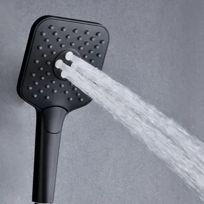 The Home Delight Black shower rail with square hand shower