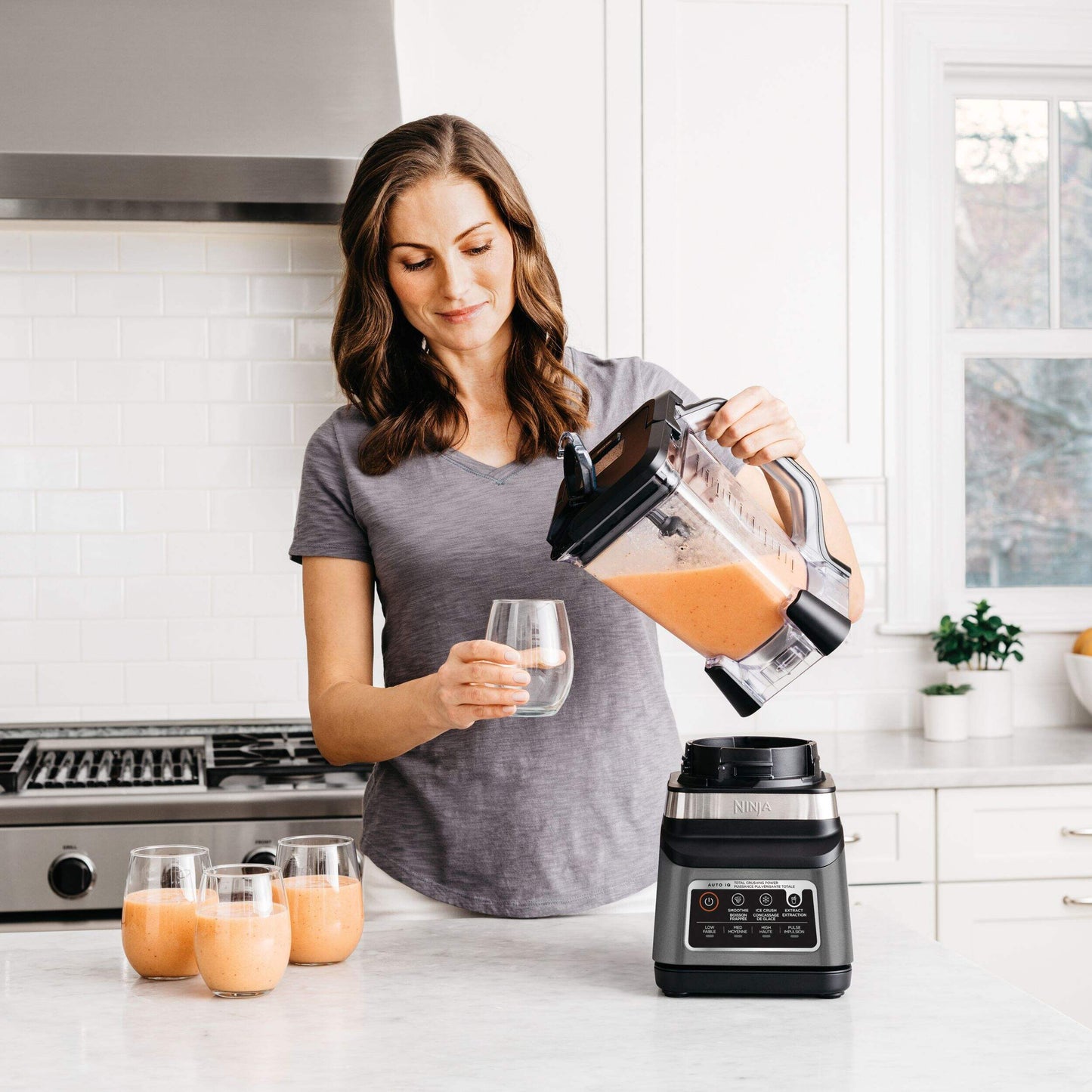 The Home Delight Ninja® Professional Plus Blender DUO® w/ 3 Pre-Set Auto IQ Programs, Stainless Steel, 1400W